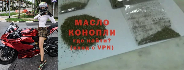 стаф Ельня