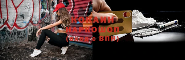 стаф Ельня