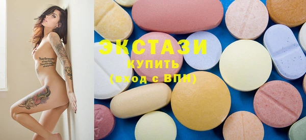 стаф Ельня