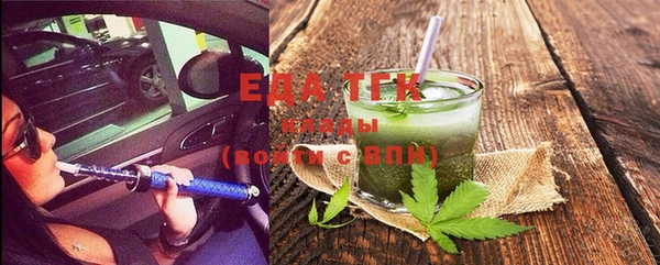 стаф Ельня