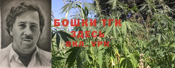 тгк Елабуга