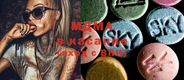 стаф Ельня