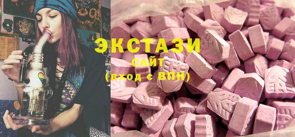 стаф Ельня