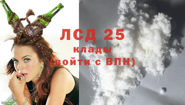 стаф Ельня