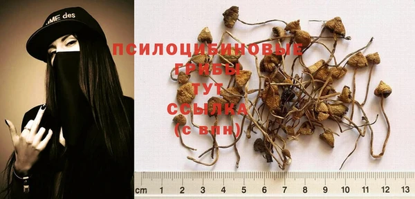 экстази Елизово