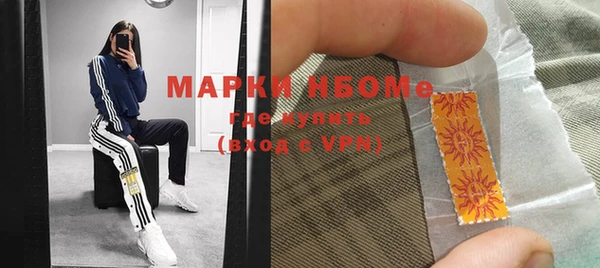 стаф Ельня