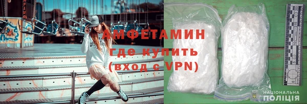 стаф Ельня