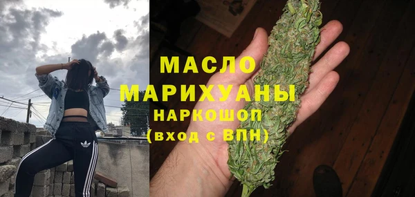 стаф Ельня