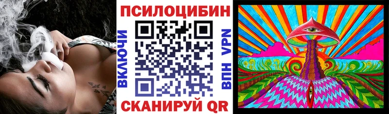 Купить где  Руза  Псилоцибиновые грибы Cubensis 